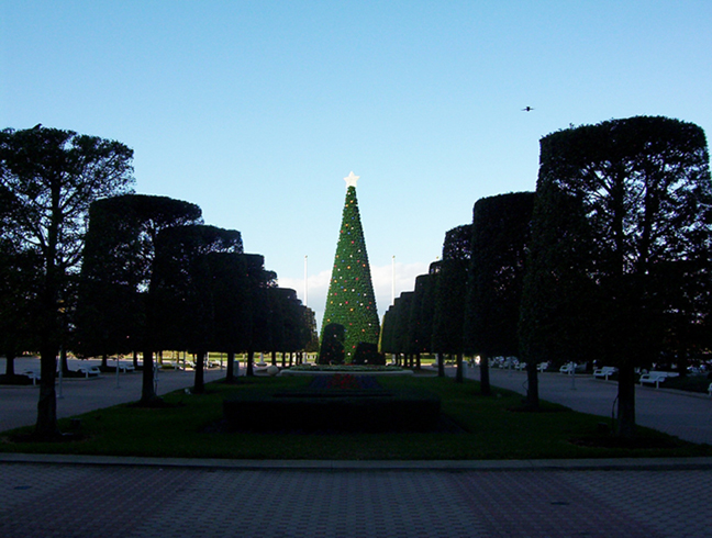 Contemporary Christmas tree