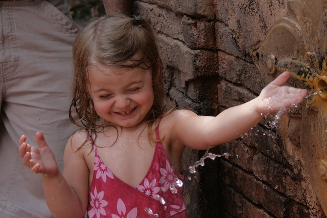 Cooling Down - Animal Kingdom