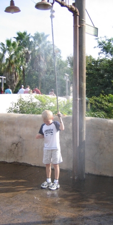Cooling off at Animal Kingdom