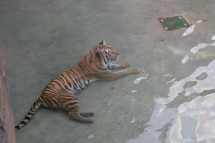 Cooling Off