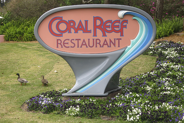 Coral Reef