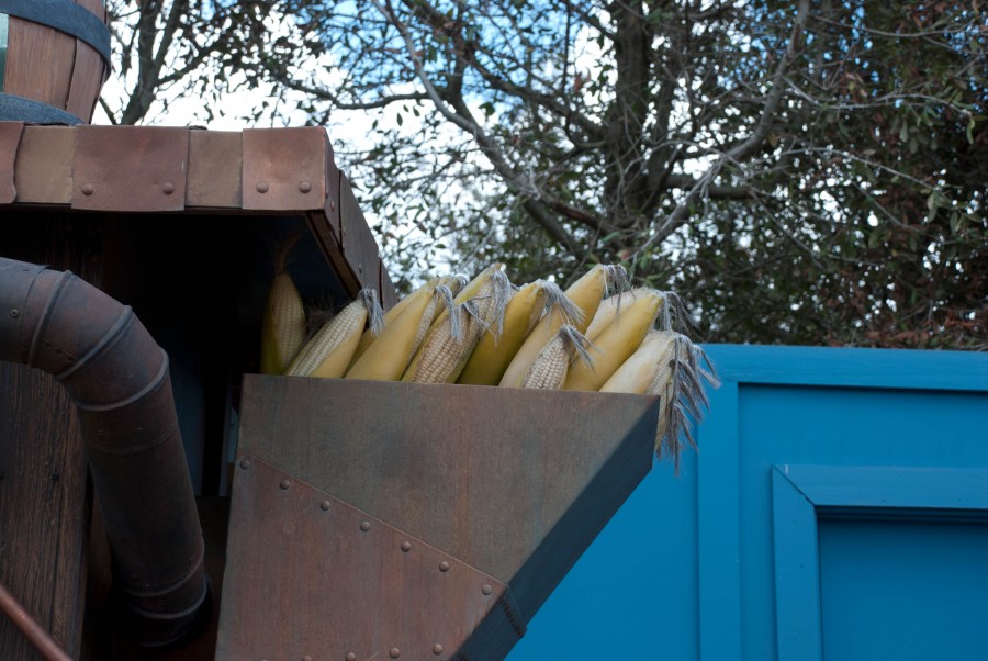 corn