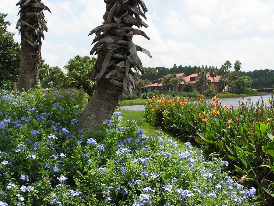 Coronado Springs Resort