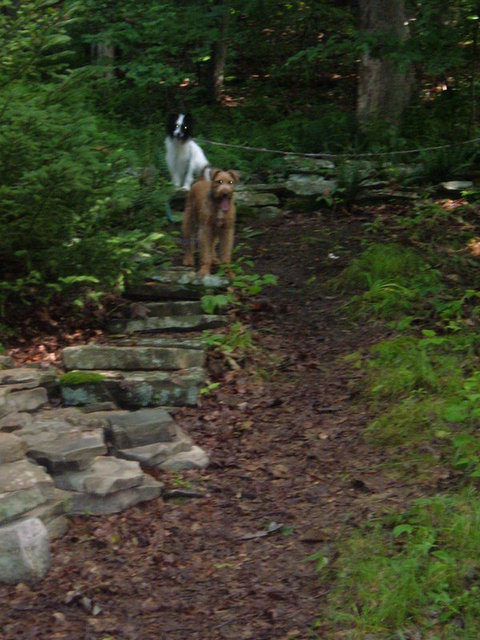 cottage4