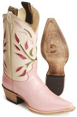 Cowgirl Boots - Virtual Road Trip