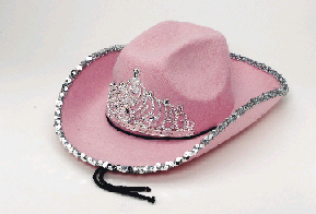 Cowgirl Hat - Virtual Road Trip