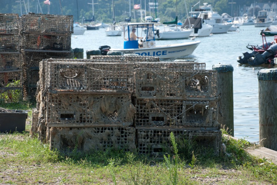 Crab_Traps