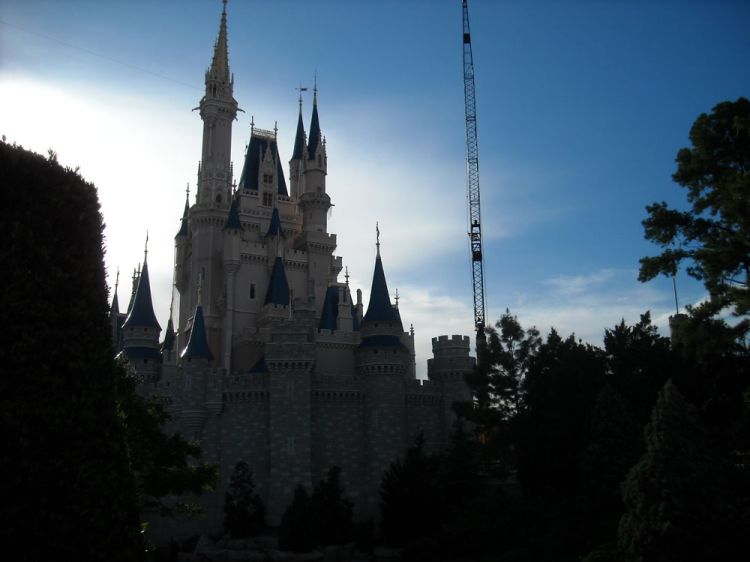 Crane behind castle August 21-27,2009