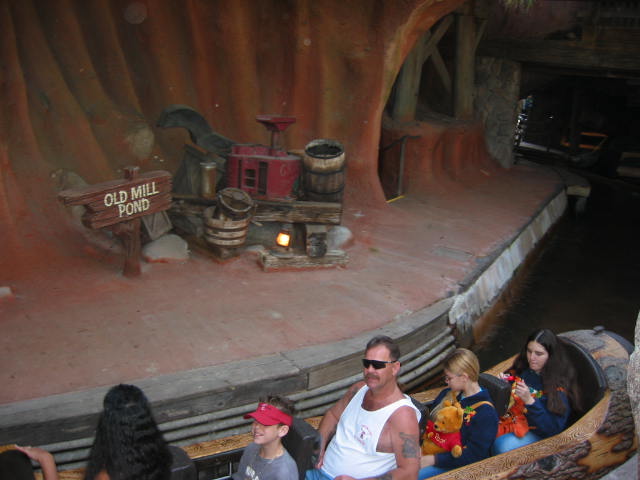 Critter Country - Splash Mountain