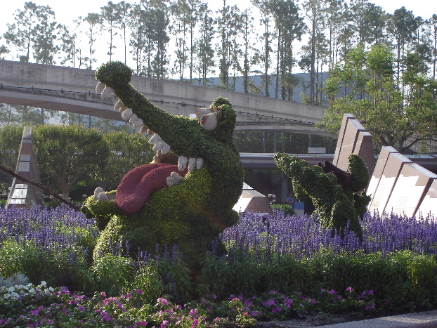 Crocodile topiary