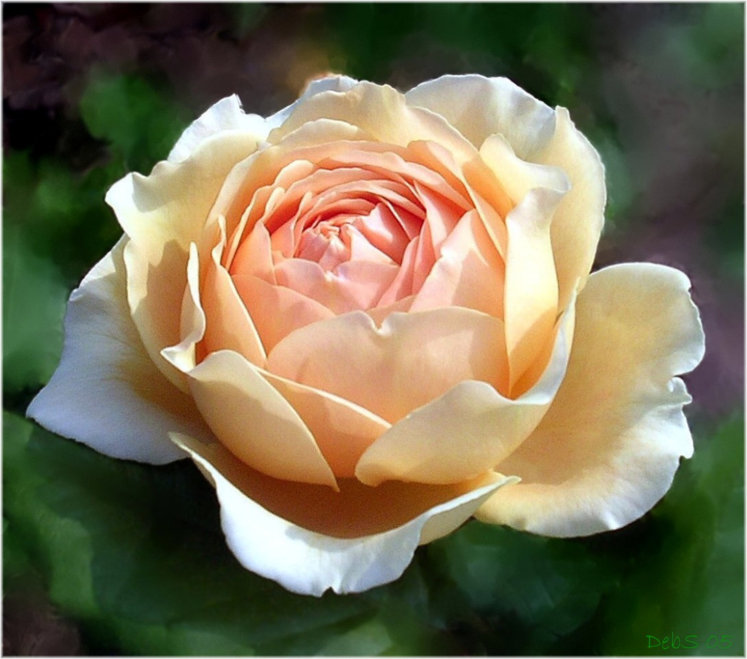 Crown Princess Margarete