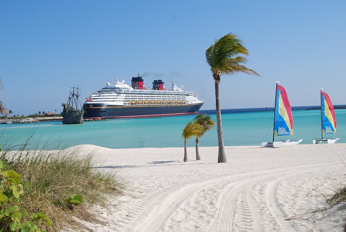 cruise891