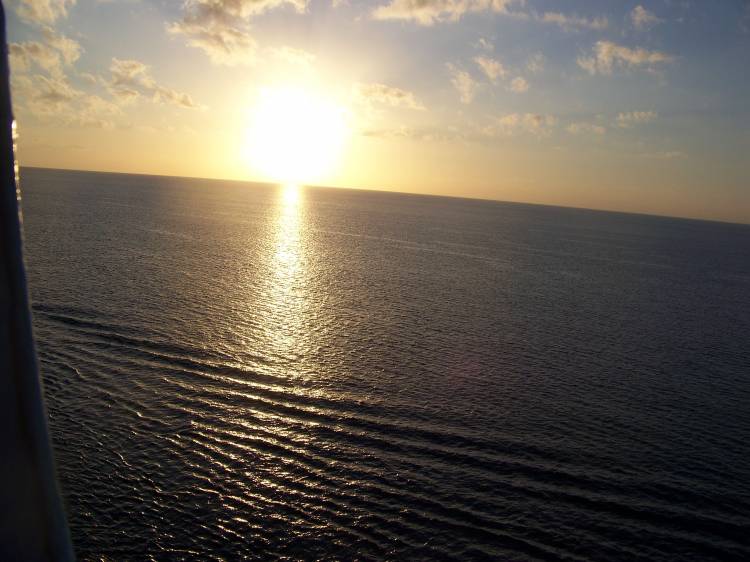 cruise_037