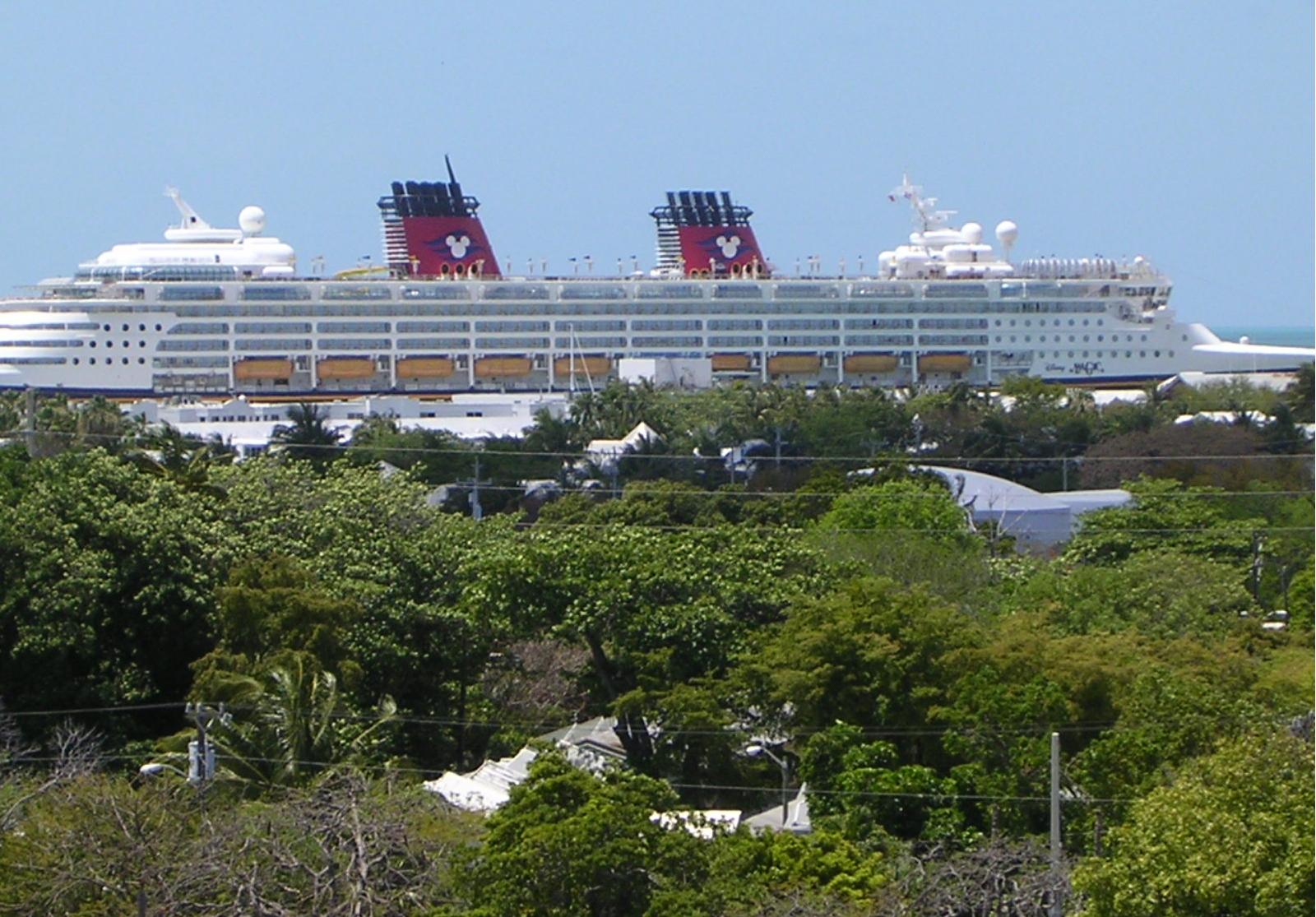 cruise_31_
