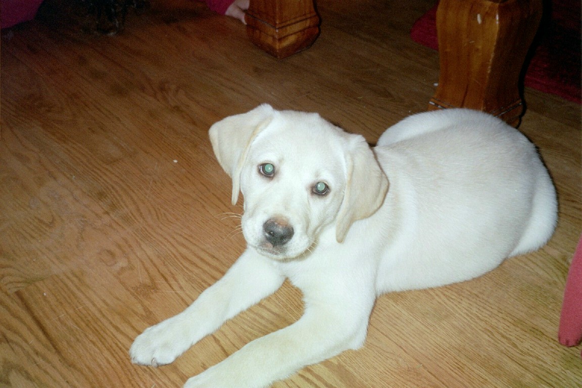 cutie1