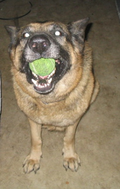 Czar