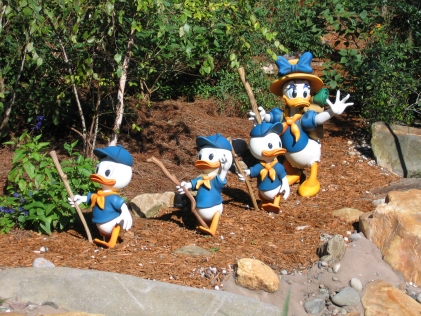 Daisy and the Boys-Animal Kingdom