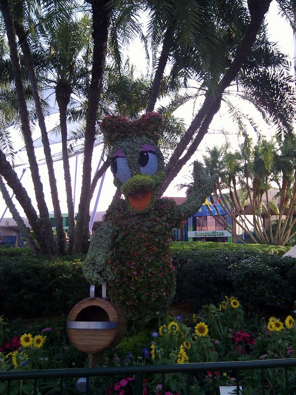 Daisy Duck Topiary