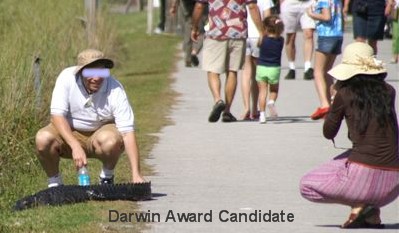 Darwin Candidate