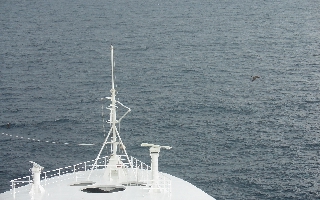 Day at Sea