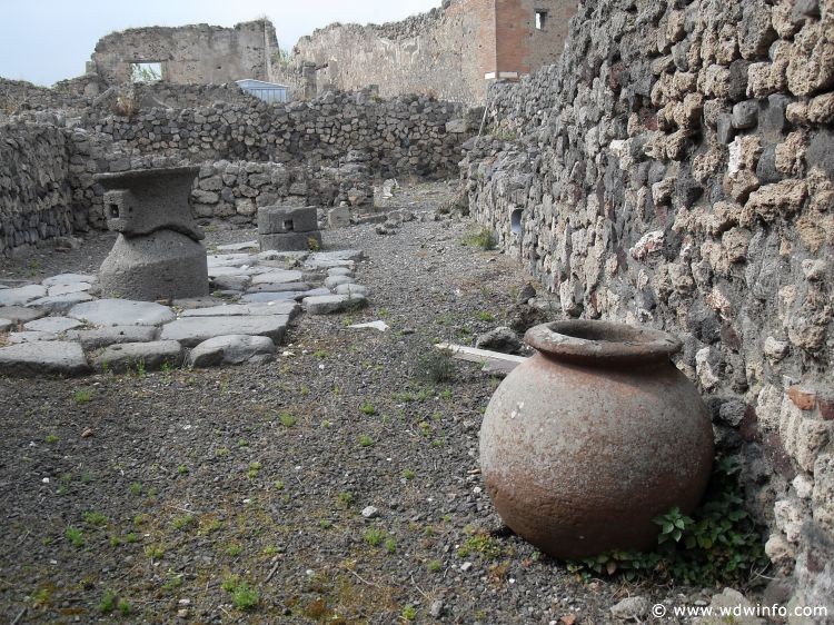 Day7-Photos-Pompeii13