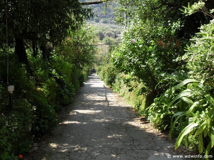 Day7-Photos-Sorrento30
