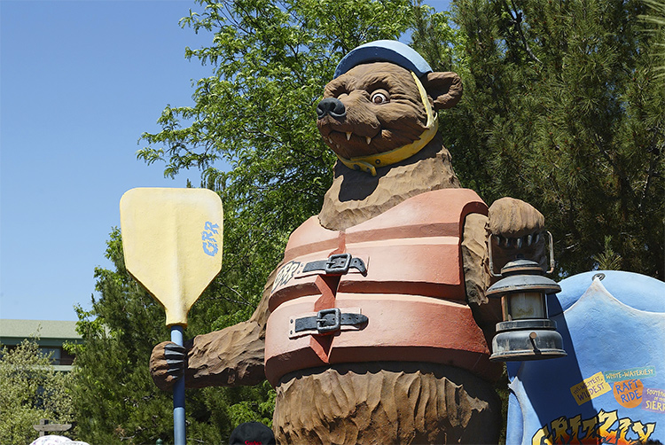 DCA Grizzly bear