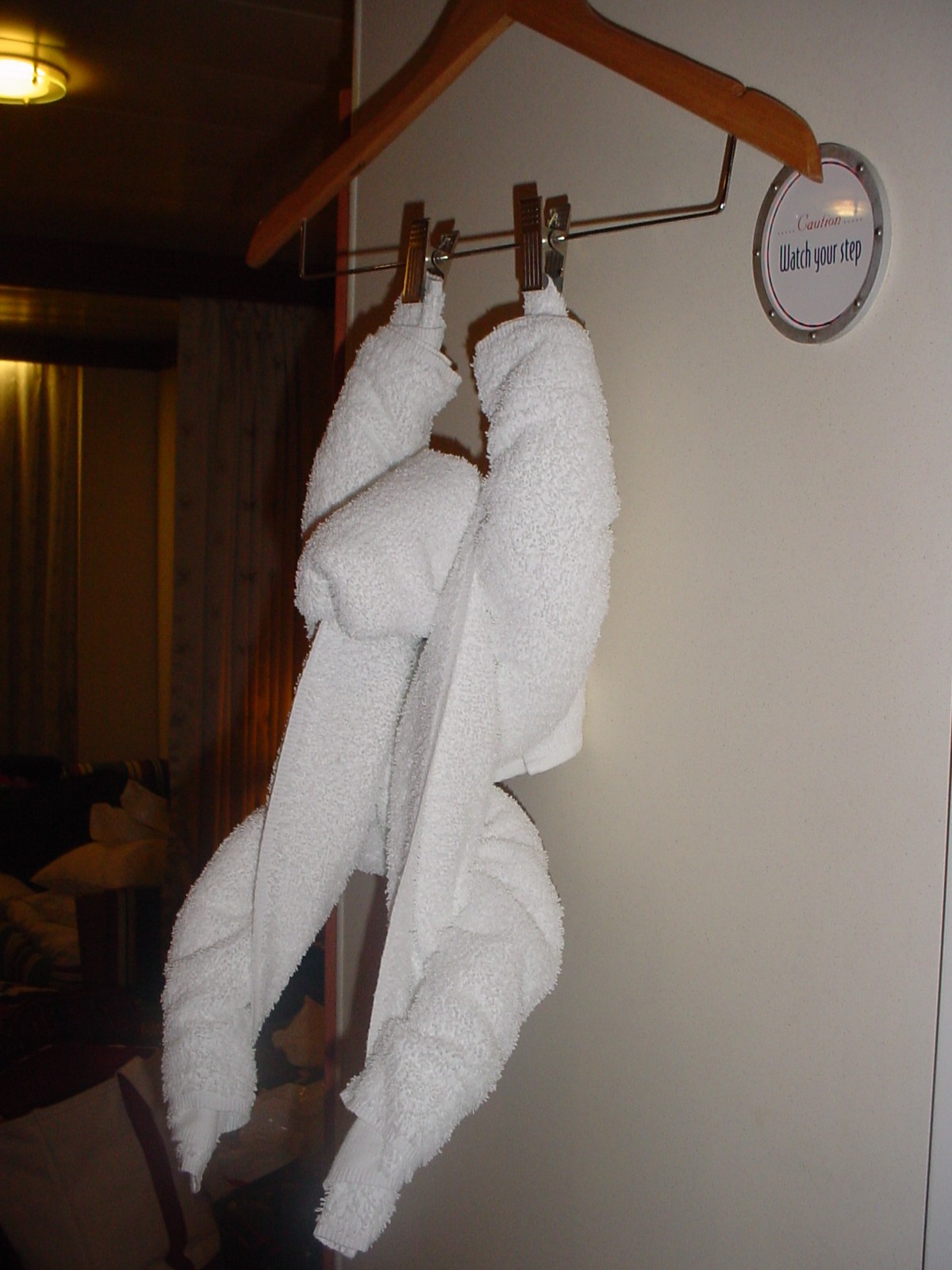 DCL Towel Animal