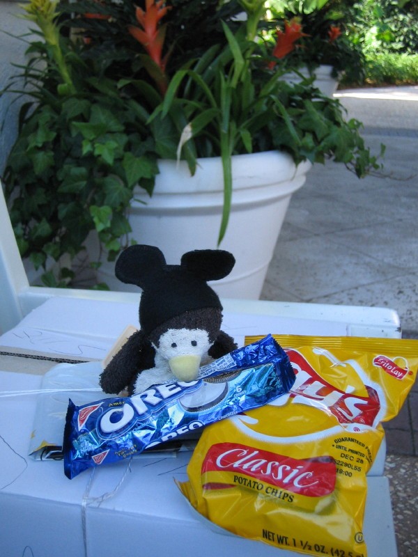 Decisions, decisions....