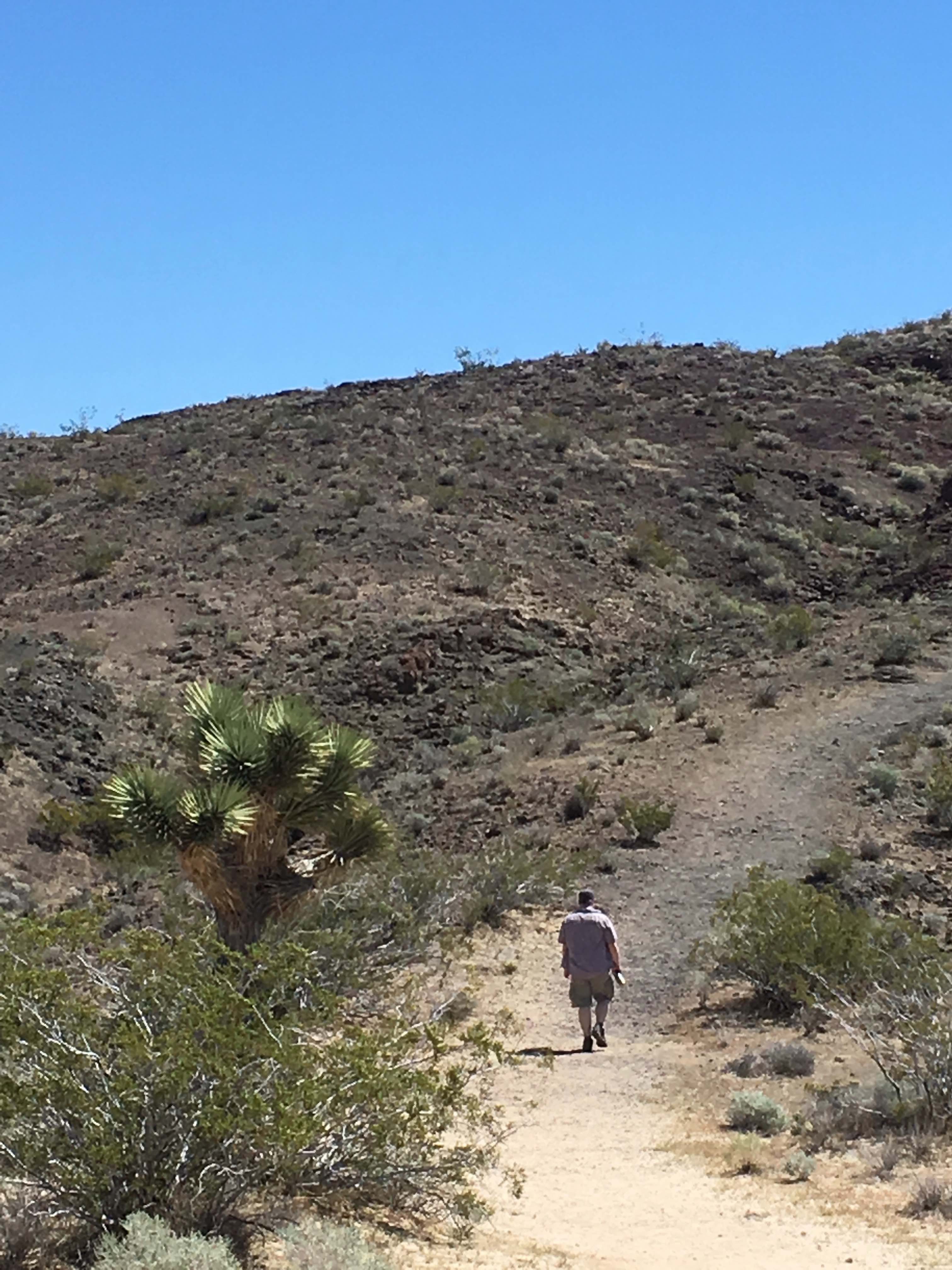 Desert View Trail