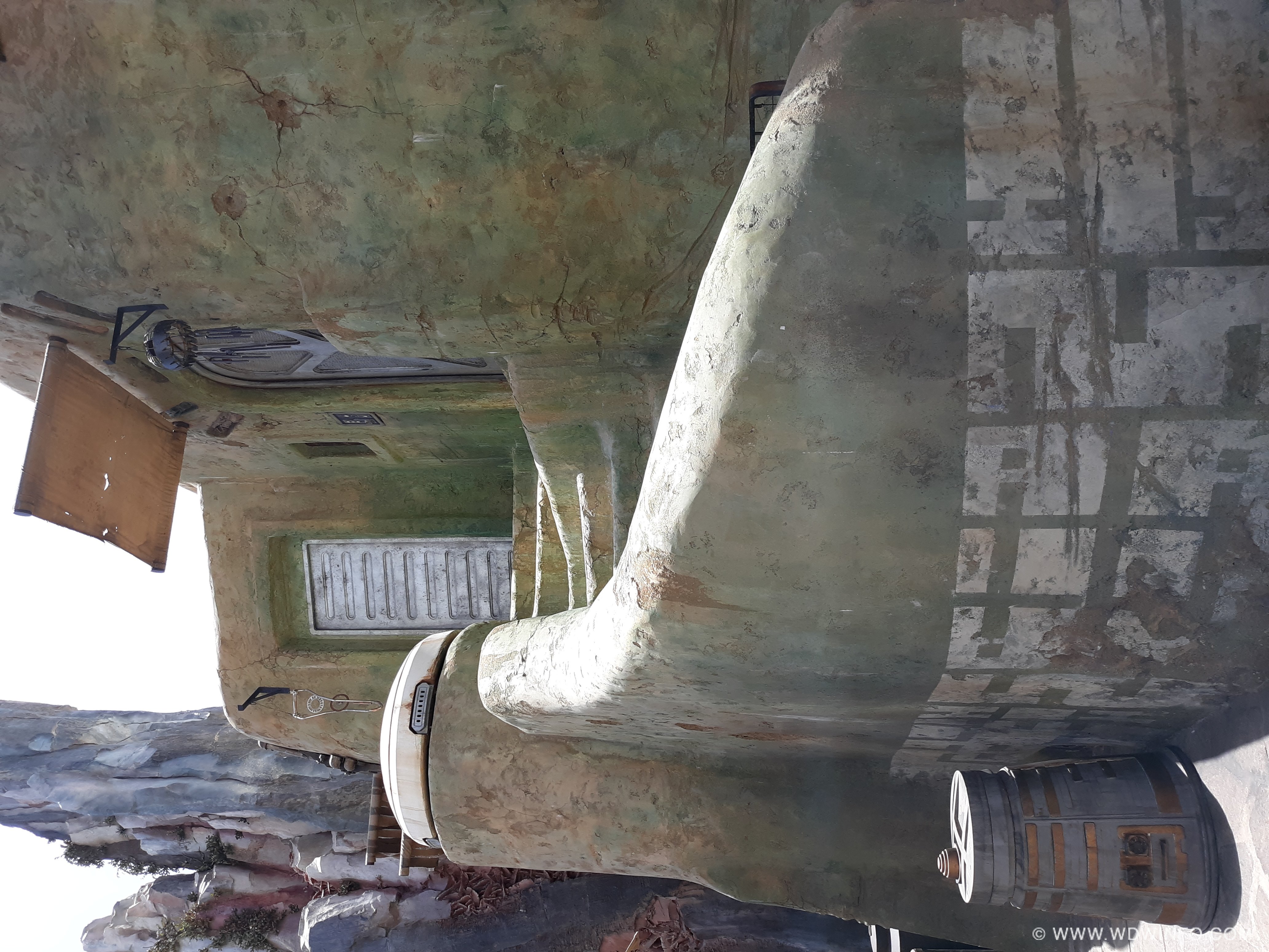 Detail in the land