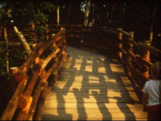 DI_1977_nr_1