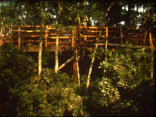 DI_1977_nr_2