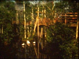 DI_1977_nr_3