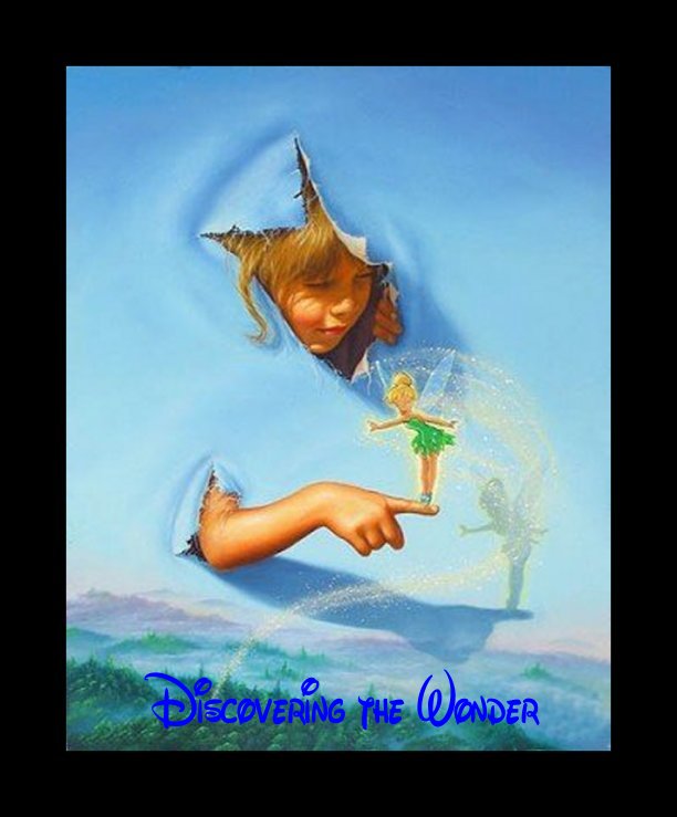 Dicovering the Wonder2