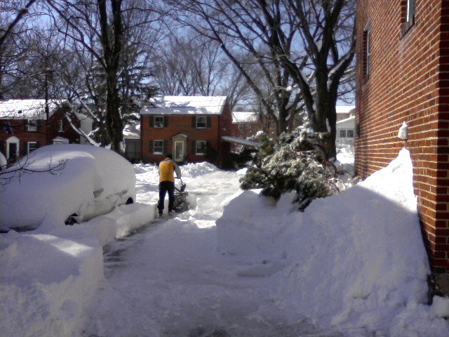 diggingout
