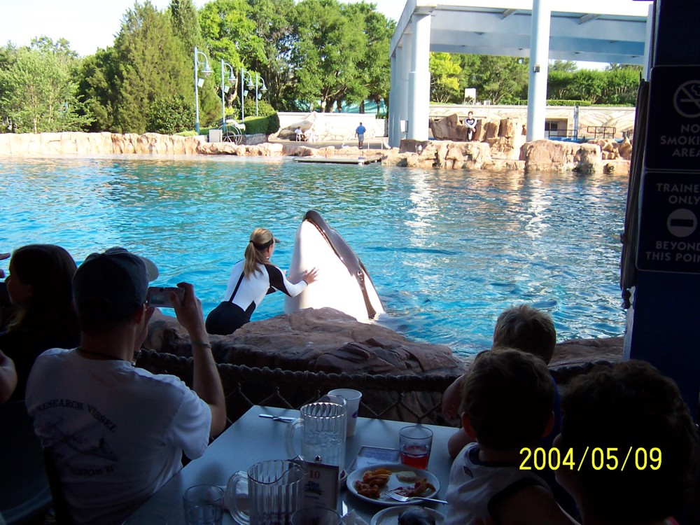 Dine with Shamu