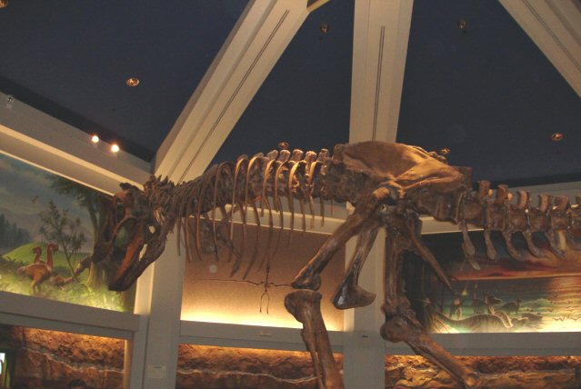 Dinosaur