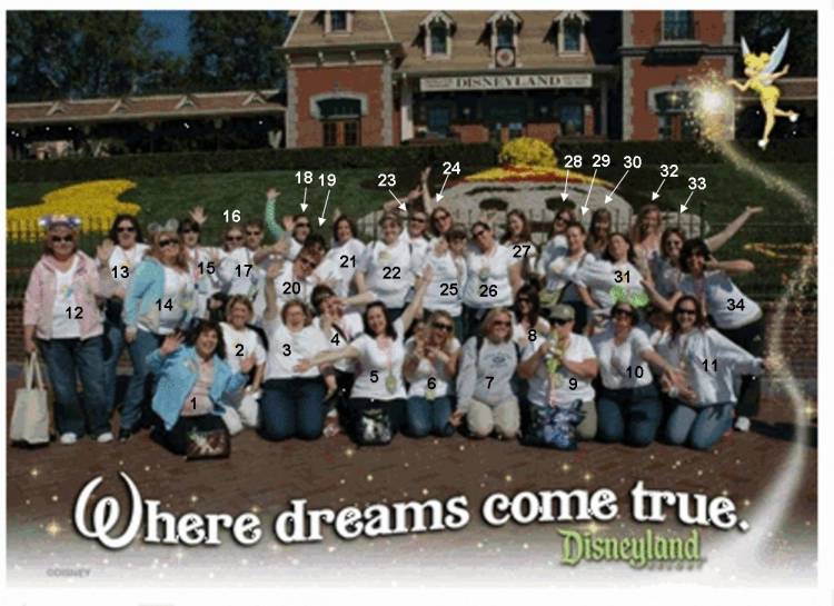 DIS Ladies at Disneyland