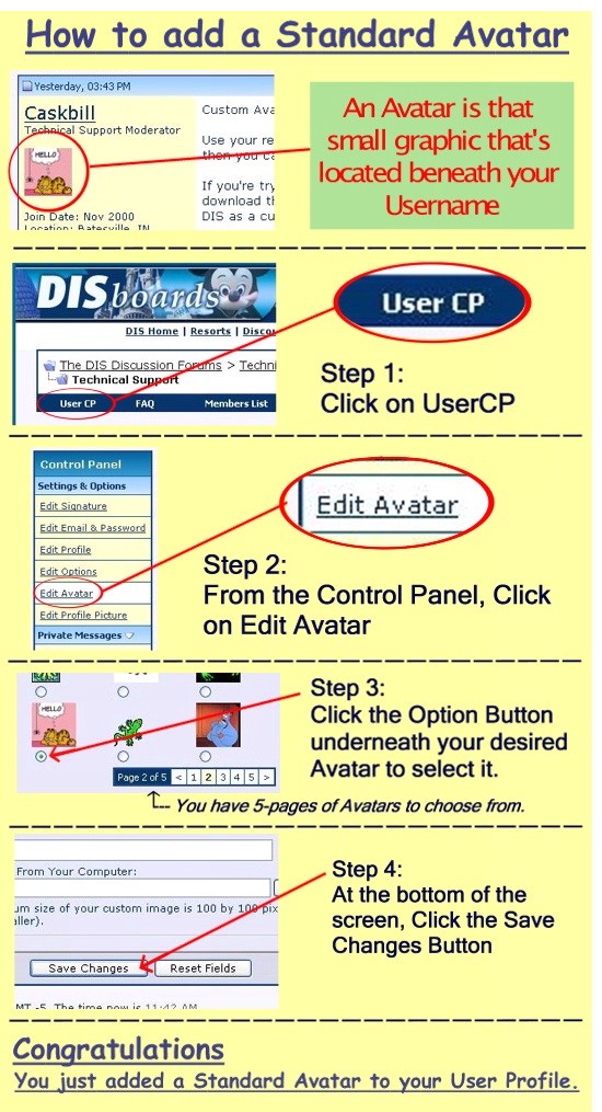 DIS Tech Support Standard Avatar Directions