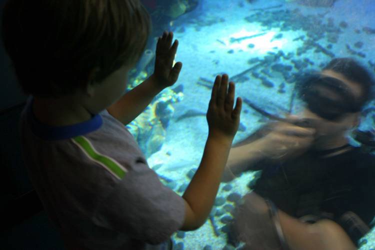 Discovery at the Living Seas