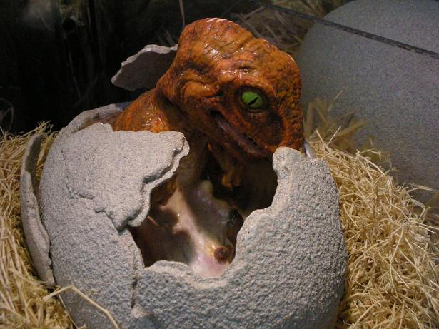 Discovery Center Newborn Dinosaur