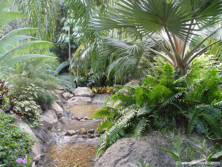 Discovery_Cove_08