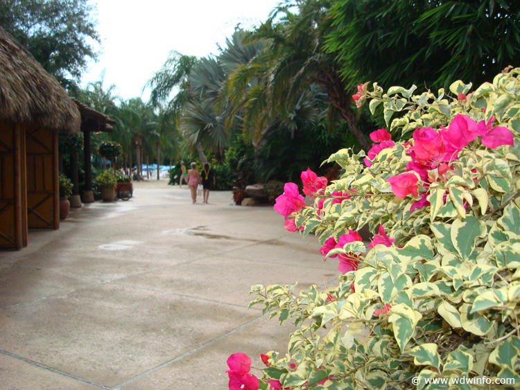 Discovery_Cove_16