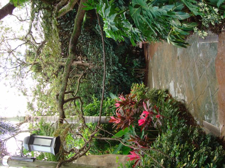 Discovery_Cove_Aviary_37