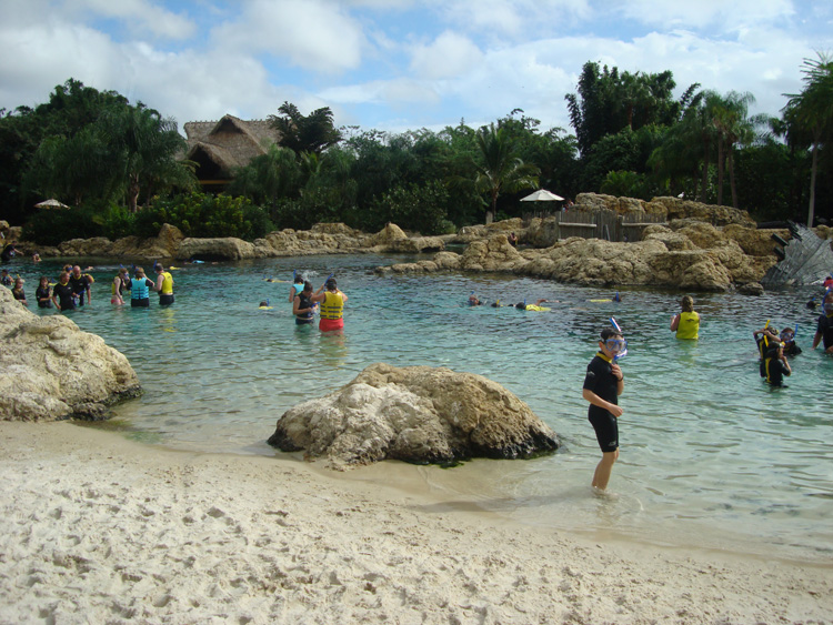Discovery_Cove_Coral_Reef_03