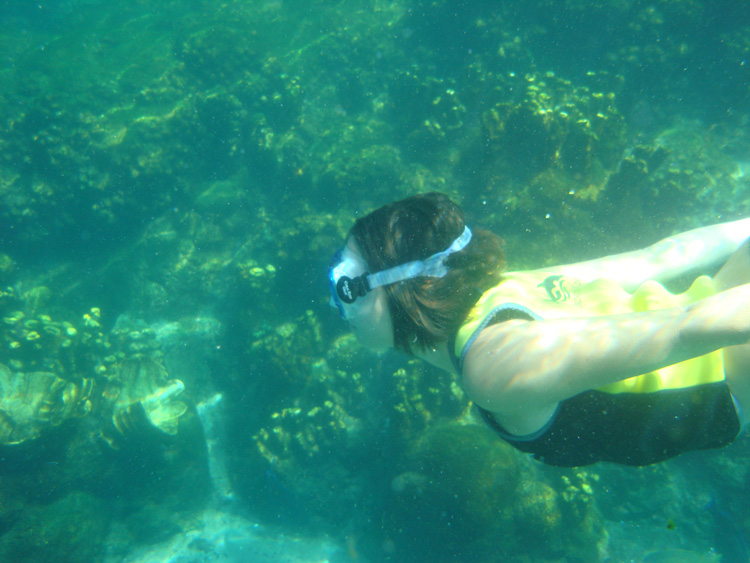 Discovery_Cove_Coral_Reef_20