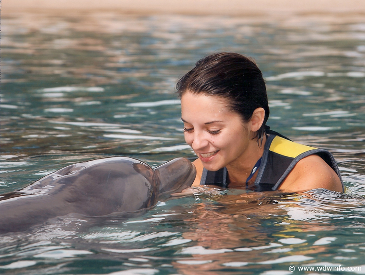 Discovery_Cove_Dolphin_Encounter_01