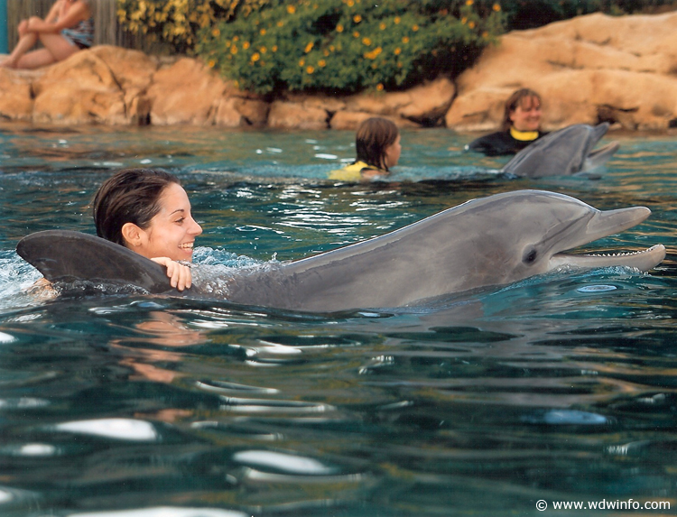 Discovery_Cove_Dolphin_Encounter_02