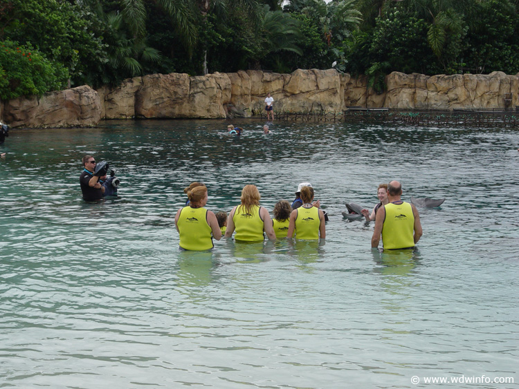 Discovery_Cove_Dolphin_Encounter_04